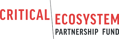 LOGO CEPF