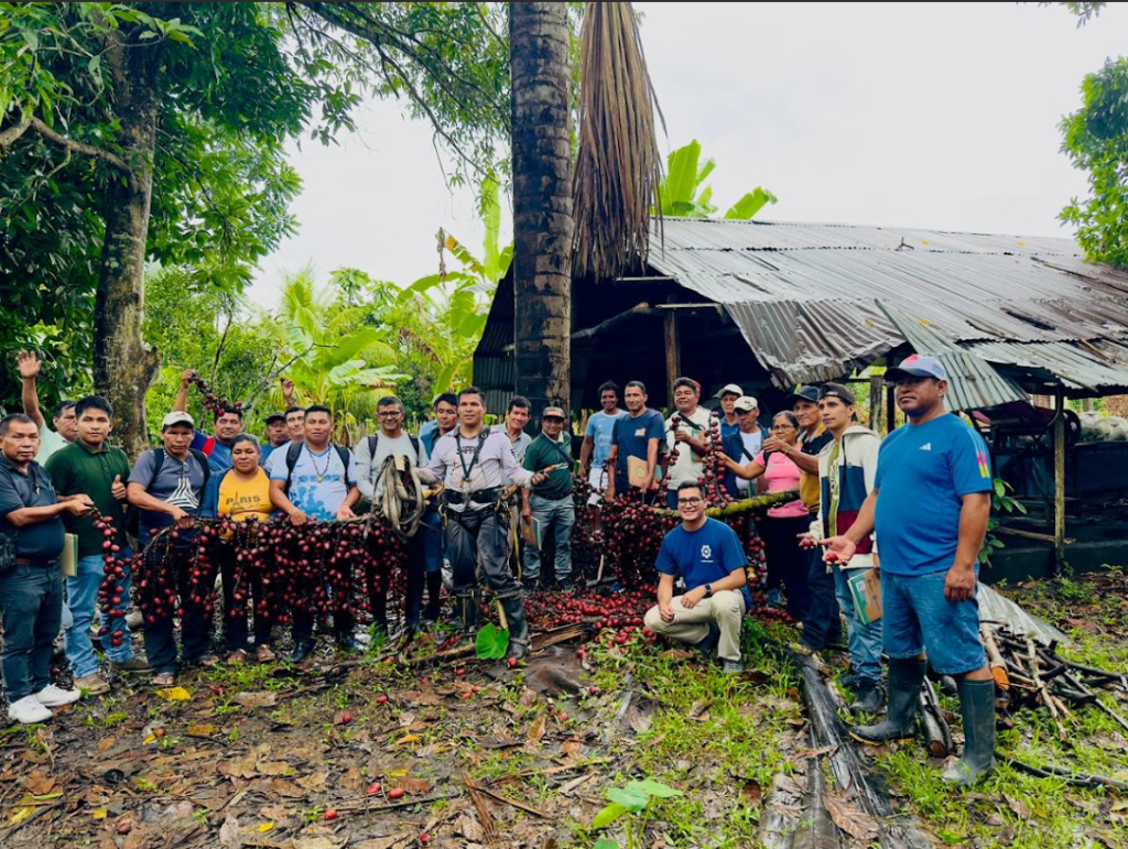 Participants in the scaling workshop for sustainable aguaje harvesting.