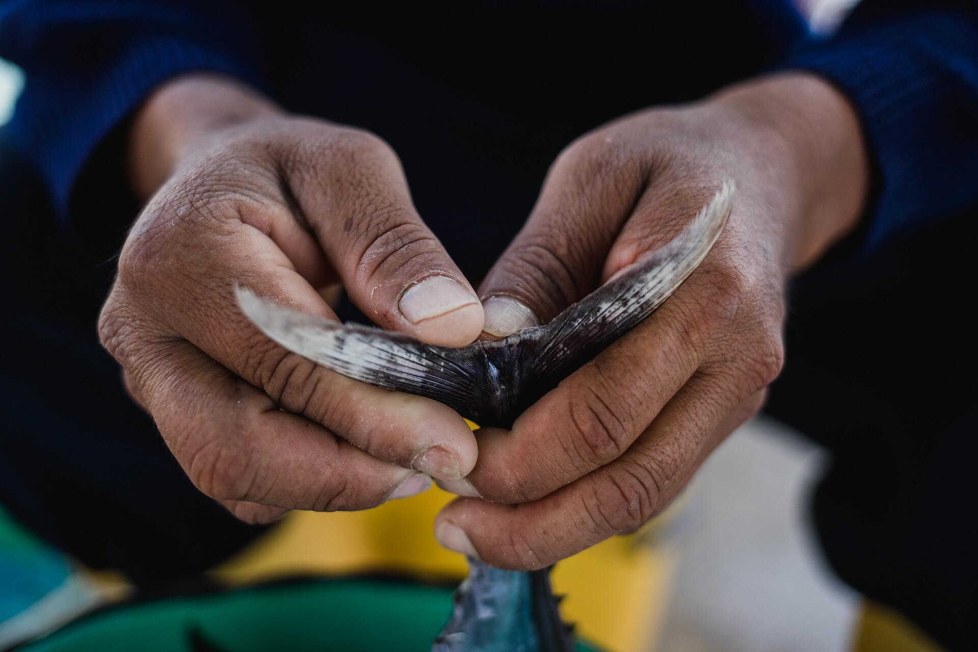 La pesca artesanal debe valorarse y protegerse para la sostenibilidad de nuestros océanos