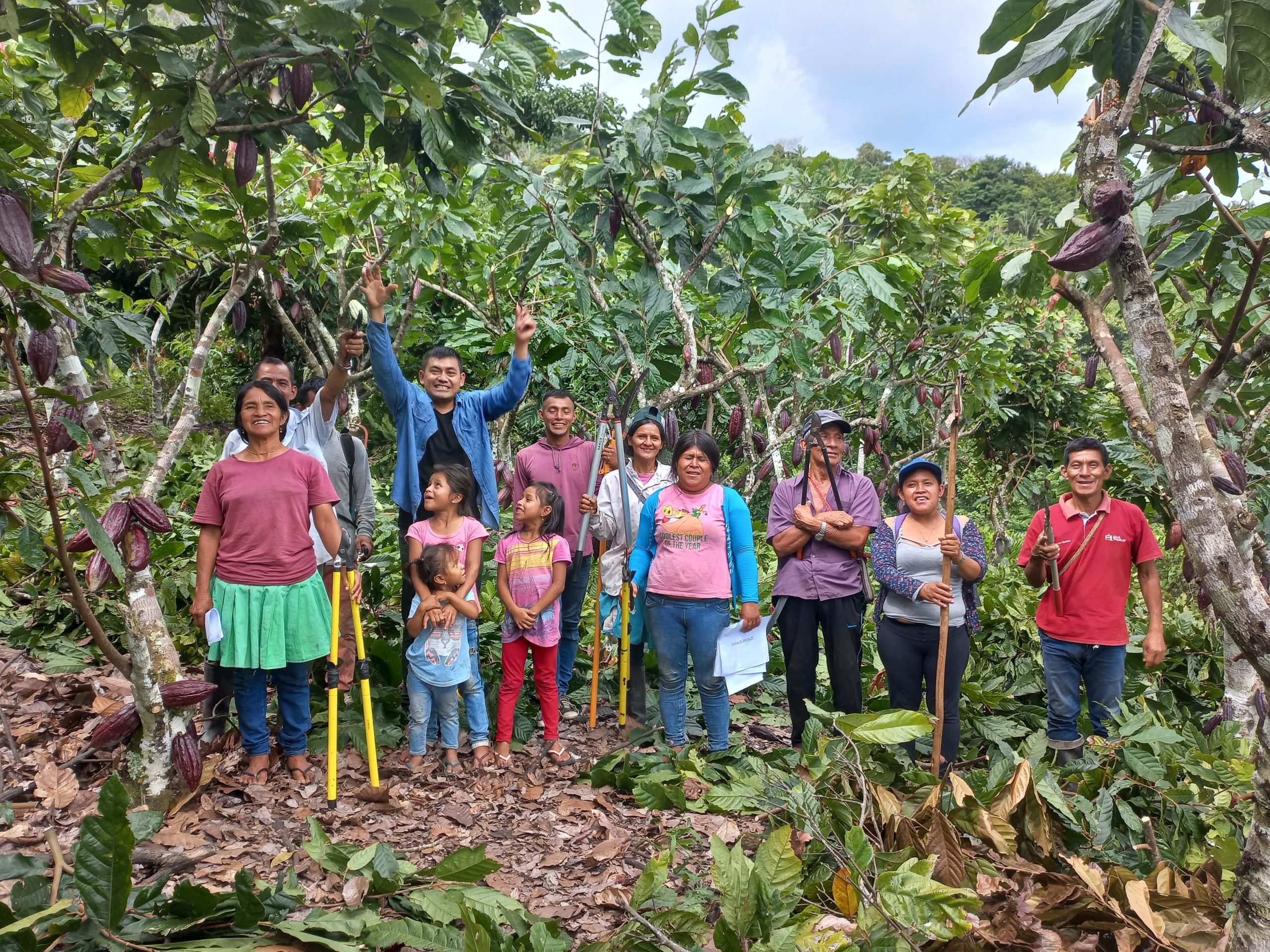 Fomento de la cadena de valor del cacao, de forma sostenible, en áreas colindantes a la zona de amortiguamiento del Parque Nacional del Río Abiseo