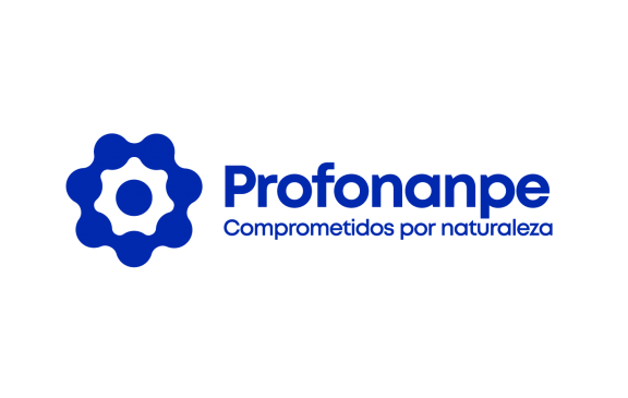 logo-profonanpe_0