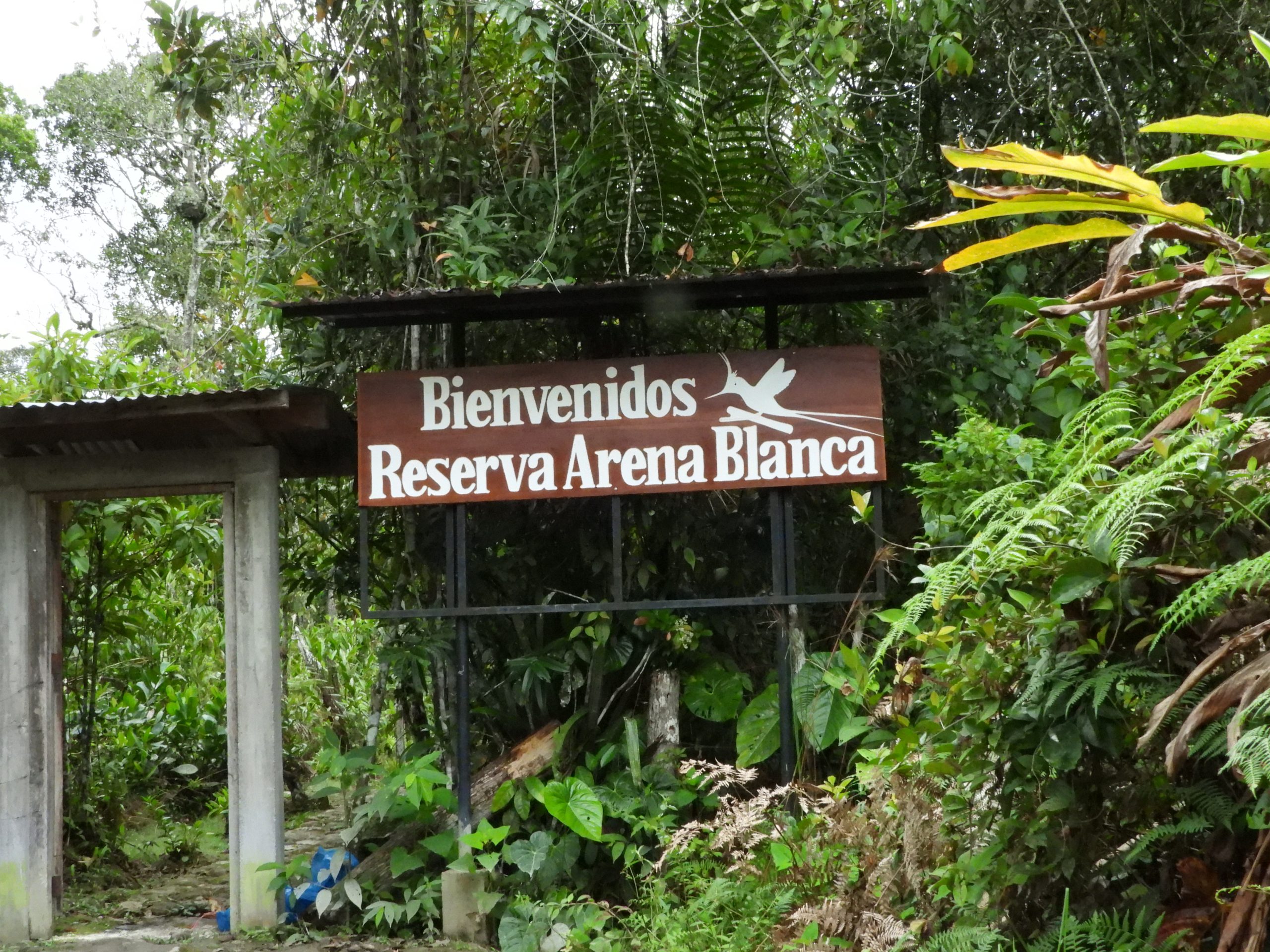 Reserva Arena Blanca 4 (1)