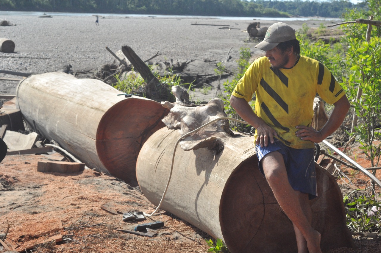 Fortalecimiento del aprovechamiento de árboles arrastrados en el Parque Nacional del Manu