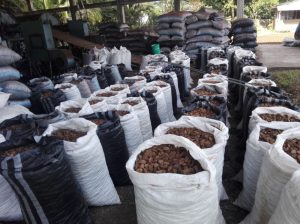 Promoción y acondicionamiento de resiliencia para la Asociación de Castañeros de la Reserva de Tambopata “Los Pioneros” (ASCART), para el aprovechamiento sostenible del fruto del árbol de castaña.