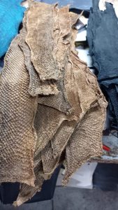 BIOCUERO: Elaboración y comercialización de productos a partir de cuero de pescado y cuero vegetal (látex de shiringa)
