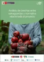 Análisis de brechas entre salvaguardas y normativas relacionadas al proyecto | Proyecto Bosques Amazónicos ASL2