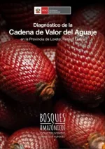 Diagnóstico de la Cadena de Valor del Aguaje en la Provincia de Loreto, Región Loreto
