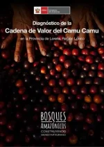 Diagnóstico de la Cadena de Valor del Camu Camu en la Provincia de Loreto, Región Loreto