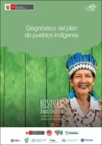 Diagnóstico del Plan de Pueblos Indígenas | Proyecto Bosques Amazónicos ASL2
