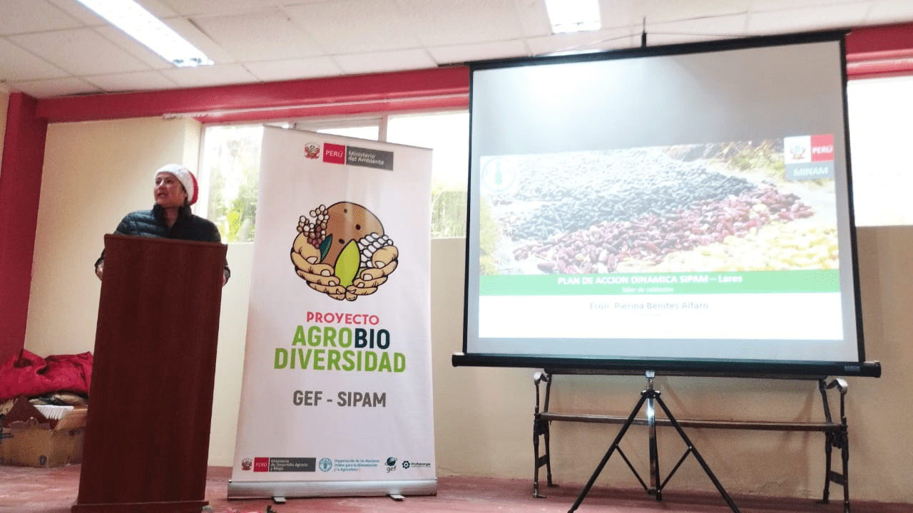 Pierina Benites, consultora del proyecto GEF Agrobiodiversidad SIPAM, presentó el plan de acción que involucra a los actores en territorio para poner en valor al distrito.