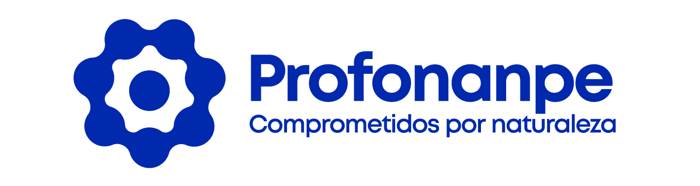 Logo Profonanpe 2020 Final_Mesa de trabajo 1 (1)
