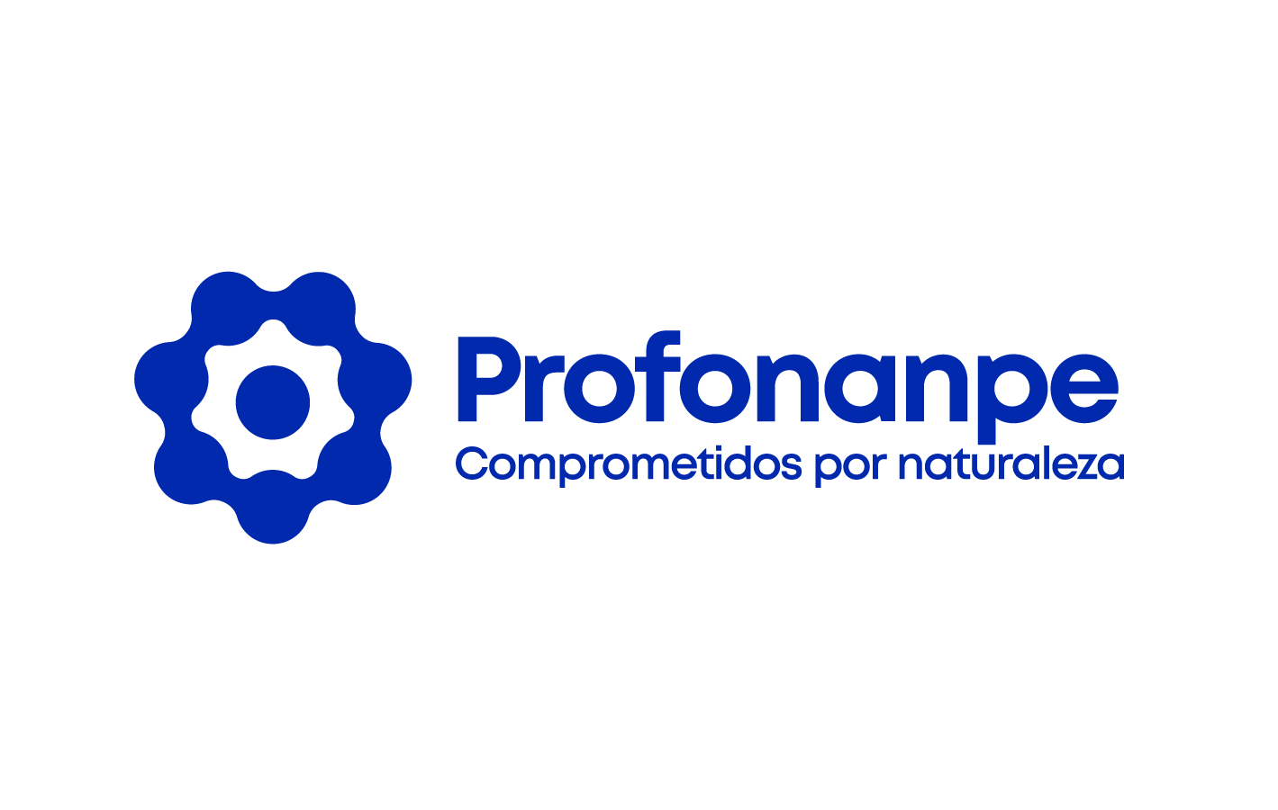 Logo Profonanpe 2020 Final_Mesa de trabajo 1 (1)