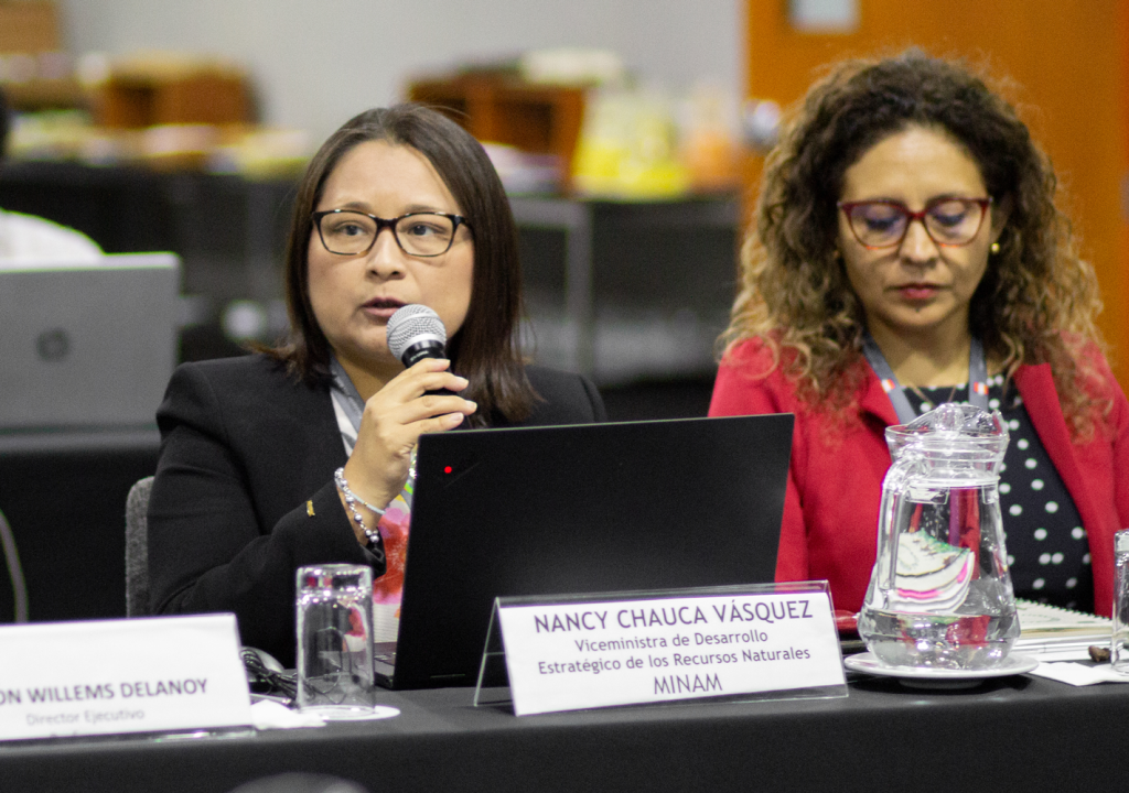 Nancy Chauca, viceministra de Desarrollo Estratégico de los Recursos Naturales del Minam y presidenta de la Junta.