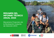 Captura de pantalla 2025-08-18 111338