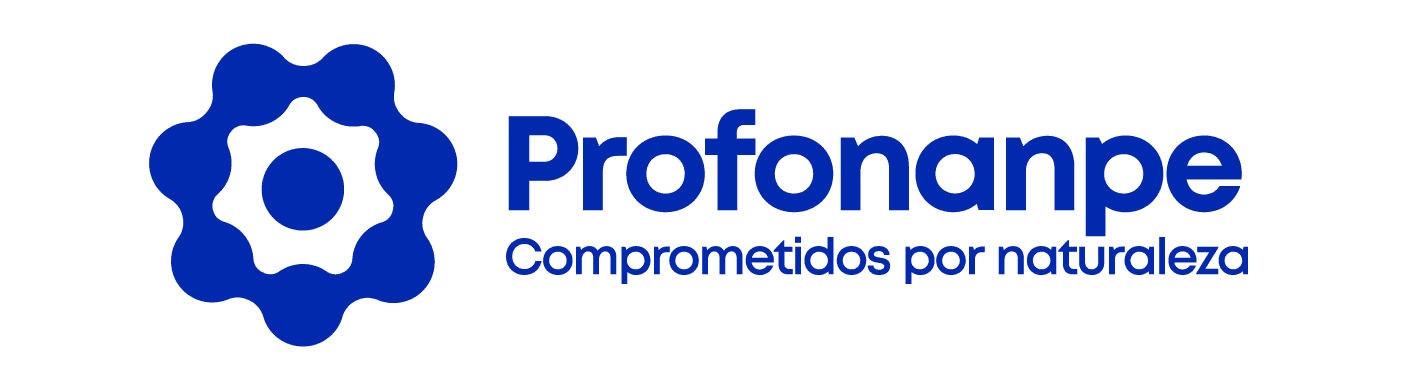 Logo Profonanpe 2020 Final_Mesa de trabajo 1