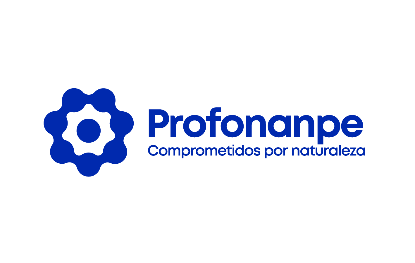 Logo Profonanpe 2020 Final_Mesa de trabajo 1