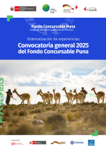 Sistematización 2da Convocatoria Puna