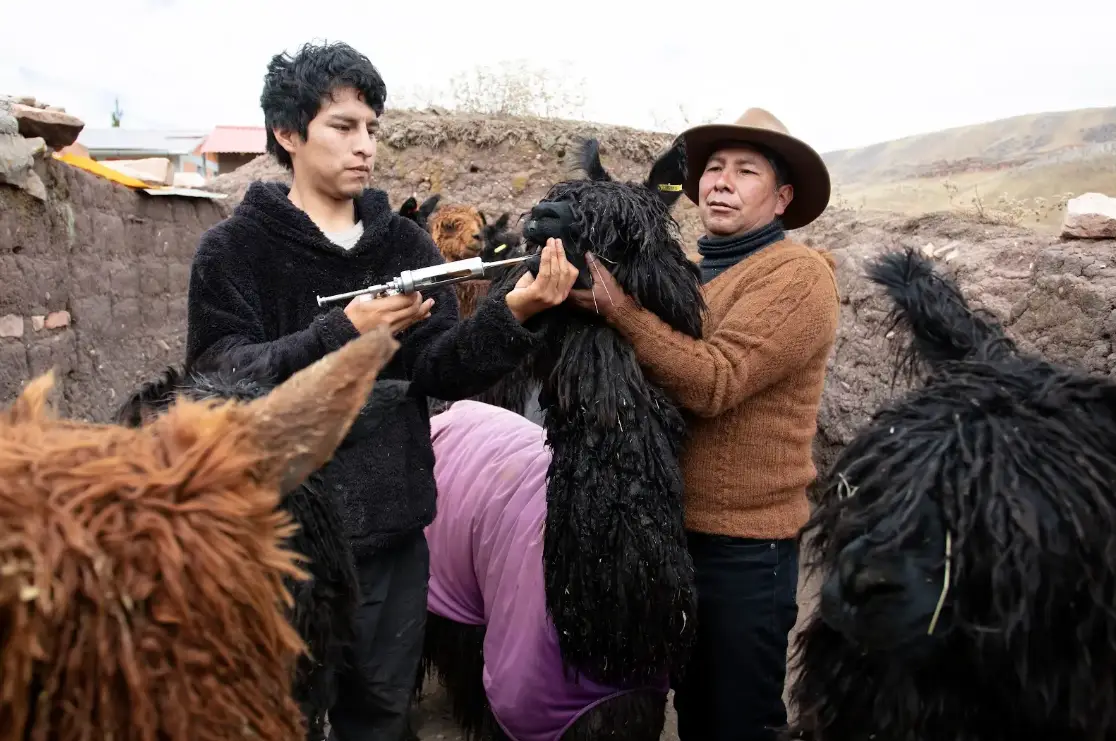 Nuevas oportunidades de financiamiento ambiental en enero