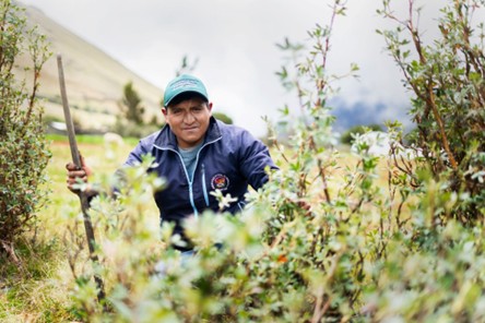 © Gerson Ferrer | Yunkawasi