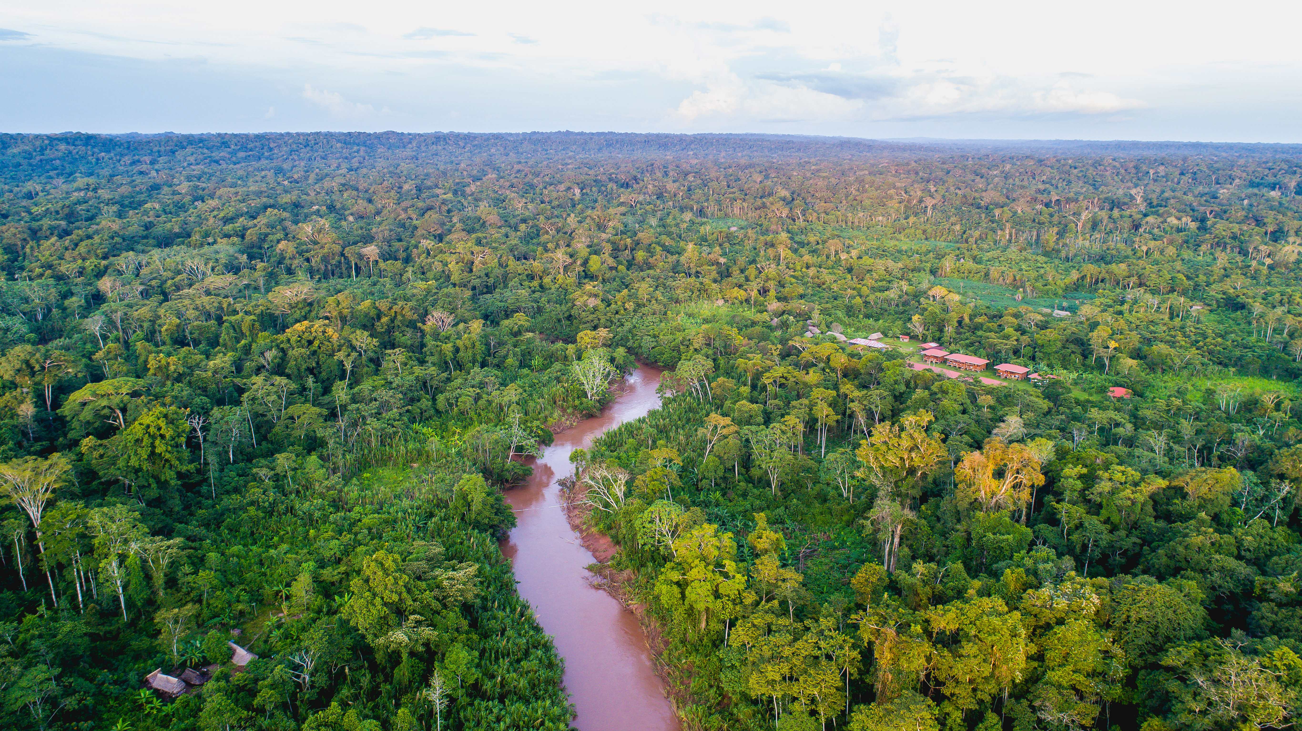 Más de 15 millones de hectáreas en la Amazonía serán conservadas con el nuevo financiamiento