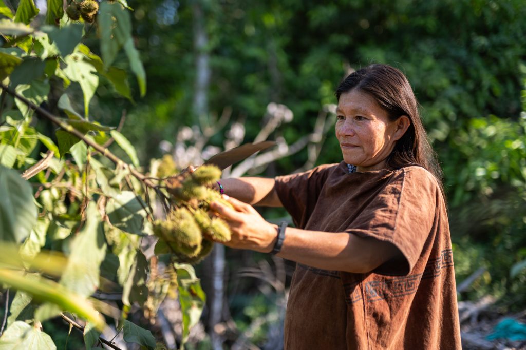 Frutos de la Amazonía impulsará bionegocios en las provincias de Loreto-Nauta (Loreto), Atalaya (Ucayali) y Satipo (Junín)