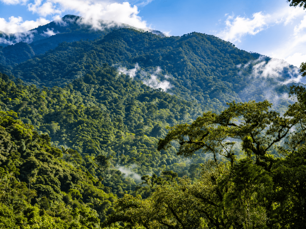 ACR Bosque Montanos de Huamantanga y Chorro Blanco.