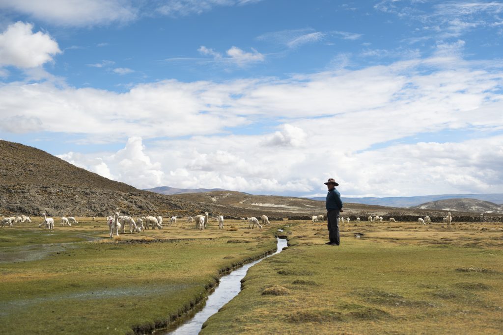 La comunidad campesina de San Juan de Tarucani implementa medidas que aseguren sus fuentes de agua. 