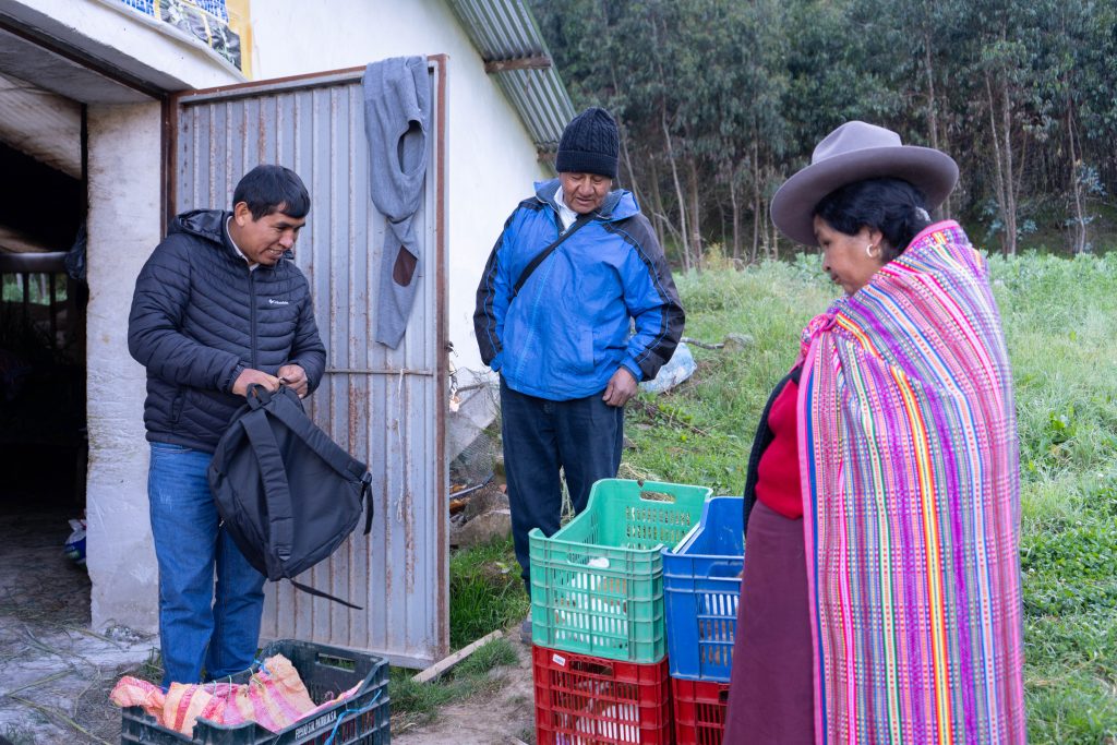 Integrantes de la Asociación La Nueva Generación durante la compra de cuyes en el sector de Tauripampa, distrito de Pira. Foto: Instituto de Montaña.