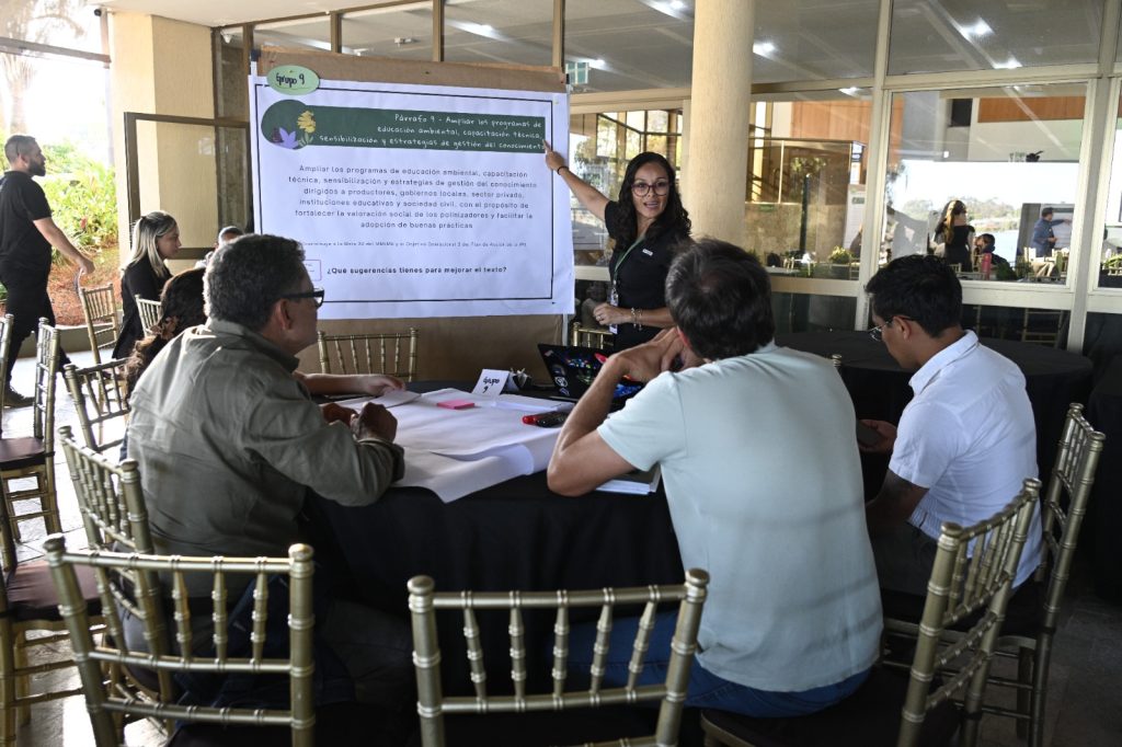 Construcción participativa de propuestas para fortalecer la conservación de los insectos polinizadores en la región. Foto: © GIZ / Zuleika de Souza 