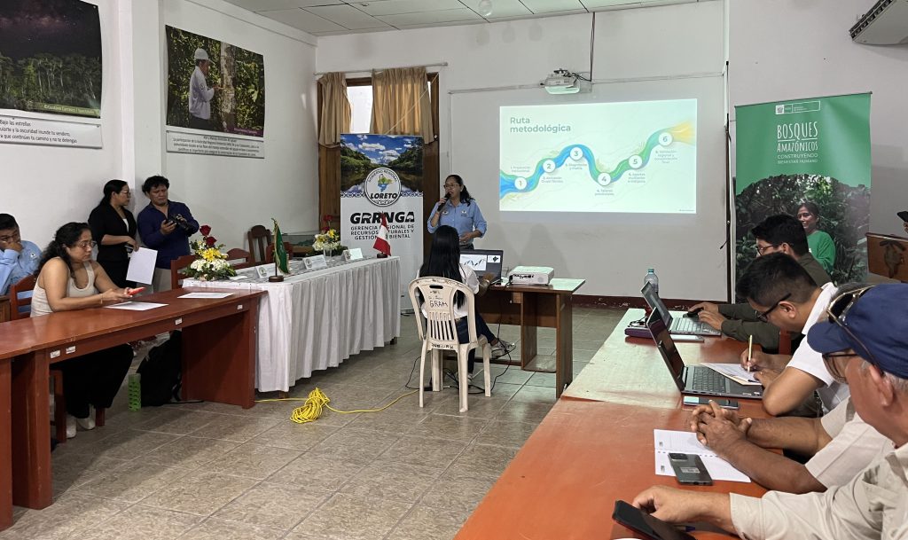 Milagros Gonzales, del GORE Loreto, comparte detalles del proceso participativo de construcción de la estrategia.